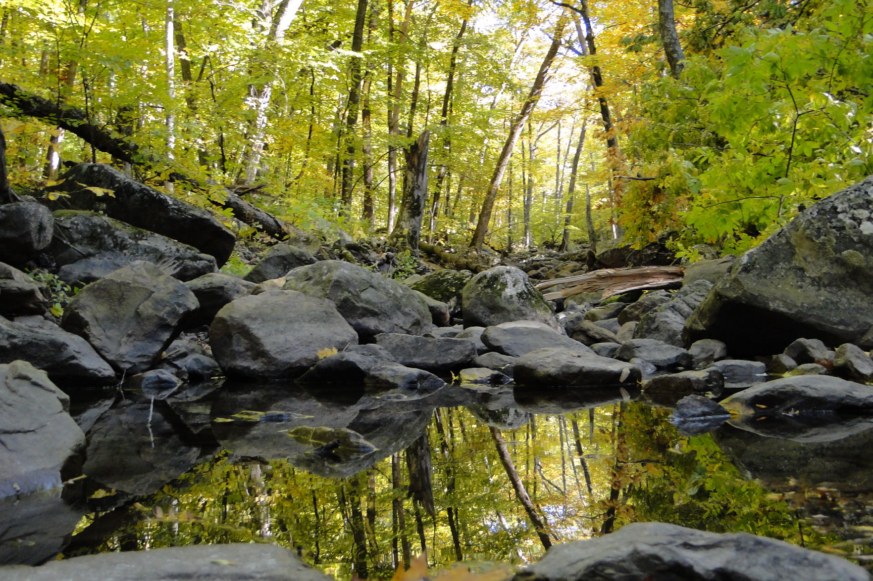 Autumn Reflection at Devil's Lake